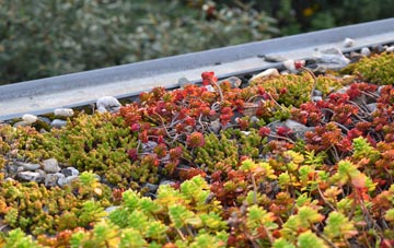 the cost of Llawnt green roof installation
